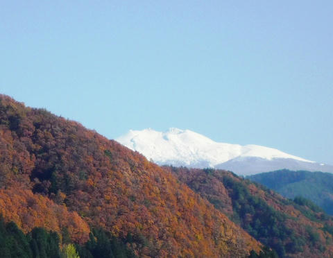 121121.JPG