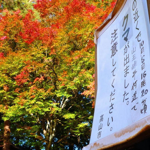 121025.jpg