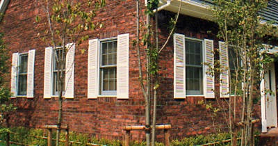 window-texture3.jpg