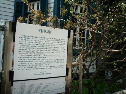 130501-6.JPG