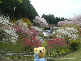 0414-1DSC09847.jpg