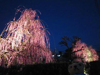0225-1IMG_3745.jpg