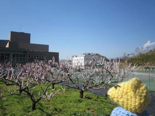 0316-1IMG_5234.jpg