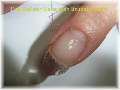 41bd8cbf.jpg