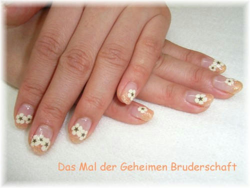 rienail20101a.jpg