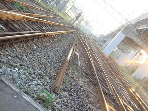 116.JPG