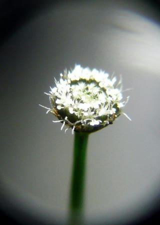 P1000300.JPG