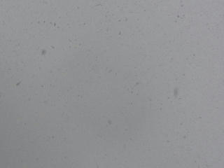 snow02.jpg
