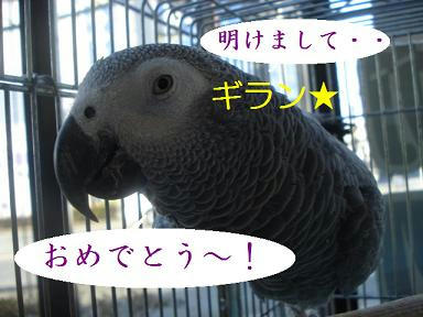 DSC09426.JPG