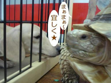 DSC09405.JPG