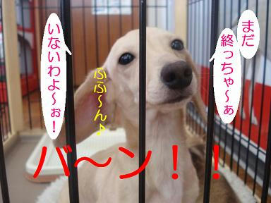 DSC00310.JPG