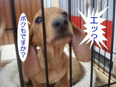 DSC00315.JPG