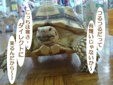 DSC00336.JPG