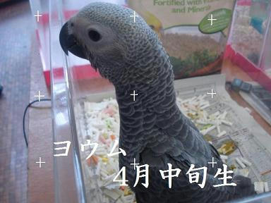 fcabb8c9.jpeg