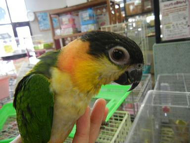 DSCN2538.JPG