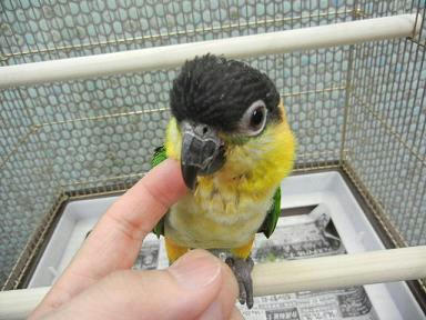 DSCN2817.JPG