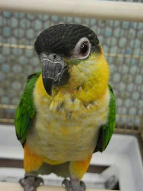 DSCN2821.JPG