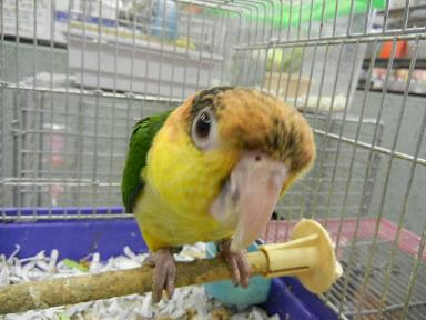 DSCN4901.JPG