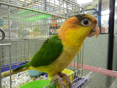 DSCN4911.JPG