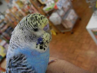 DSCN4987.JPG