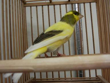 DSCN6687.JPG
