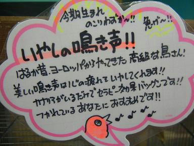 DSCN6689.JPG