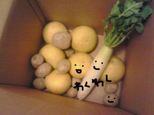 200802022352000.jpg