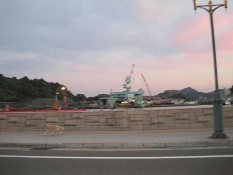 IMG_3719.JPG