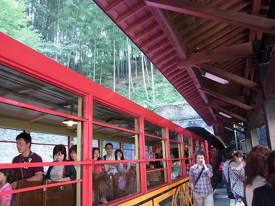 RIMG1576.jpg