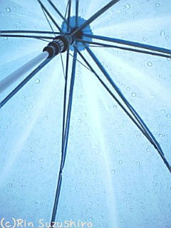 Ｍｙ雨傘