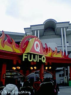 98fa21f8.jpg