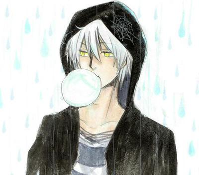 蜘蛛の巣が大変なことに