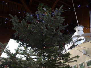 PICT0261_R.JPG