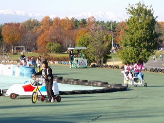 DSCF2137.jpg
