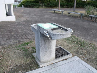 DSCF2048.jpg