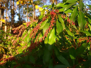 DSCF2244.jpg