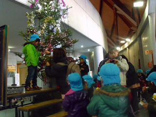 DSCF2262.jpg