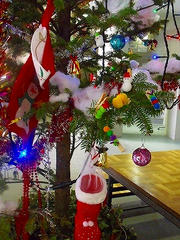 DSCF2283.jpg