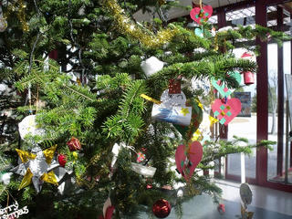 DSCF2305.jpg