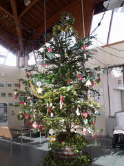 DSCF2303.jpg