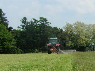 IMG_1803-01.jpg