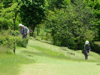 IMG_1834-01.jpg