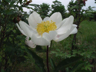 DSCF4943.JPG
