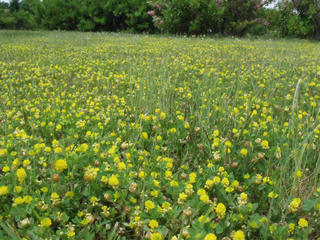 DSCF4945.JPG