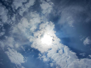 IMG_2005-01.jpg