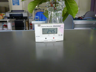 P1030069.JPG