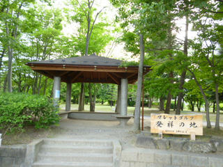 P1030152.JPG