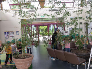 DSCF5197.JPG