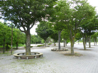 P1030236.JPG