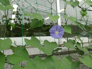 DSCF5431.JPG